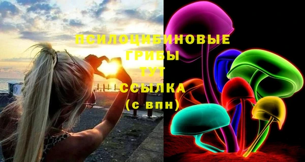 индика Вязьма